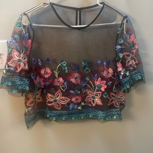Sheer embroidered crop top